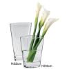 LSA FLORIAN VASE CLEAR H24cm TLA1614 (PU 1)【送料無料】代金引換・日時指定不可 代金引換・日時指定不可