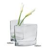 LSA GIANT PARIS VASE CLEAR H26cm TLA1612 (PU 1)【送料無料】代金引換・日時指定不可 代金引換・日時指定不可